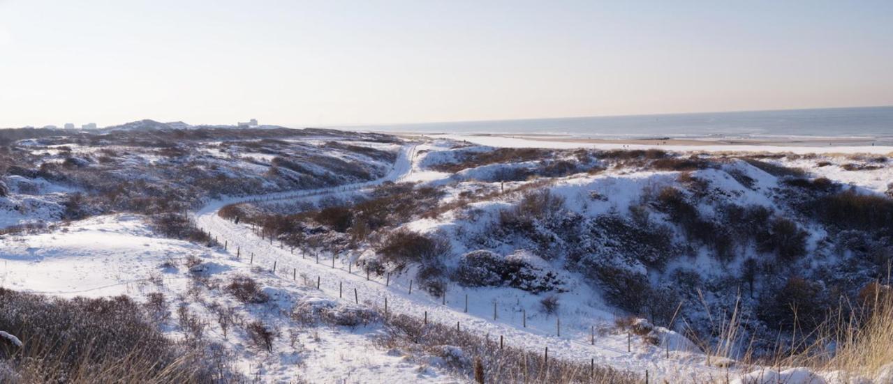 Dunes & Sea At Kijkduin Lahey Dış mekan fotoğraf
